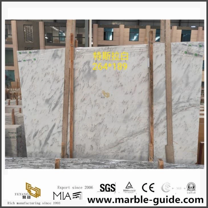 New Tesla White Marble Slabs For Sale